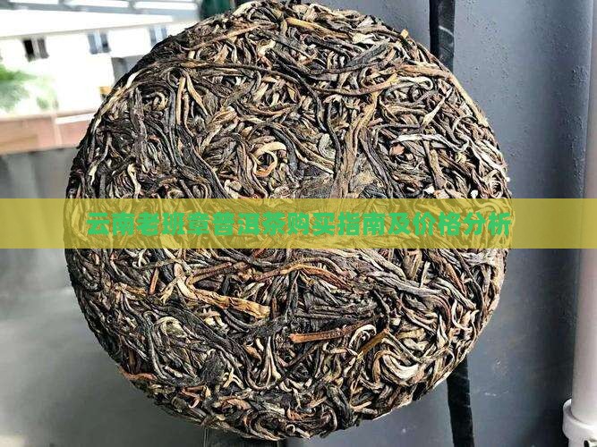云南老班章怎么购买藏