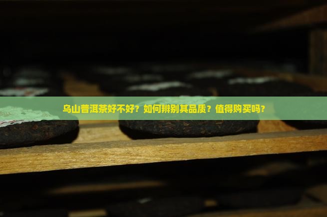 乌山普洱茶好不好
