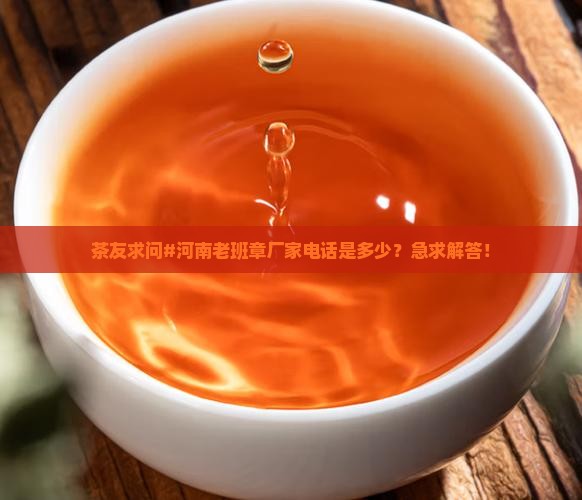 河南老班章厂家电话