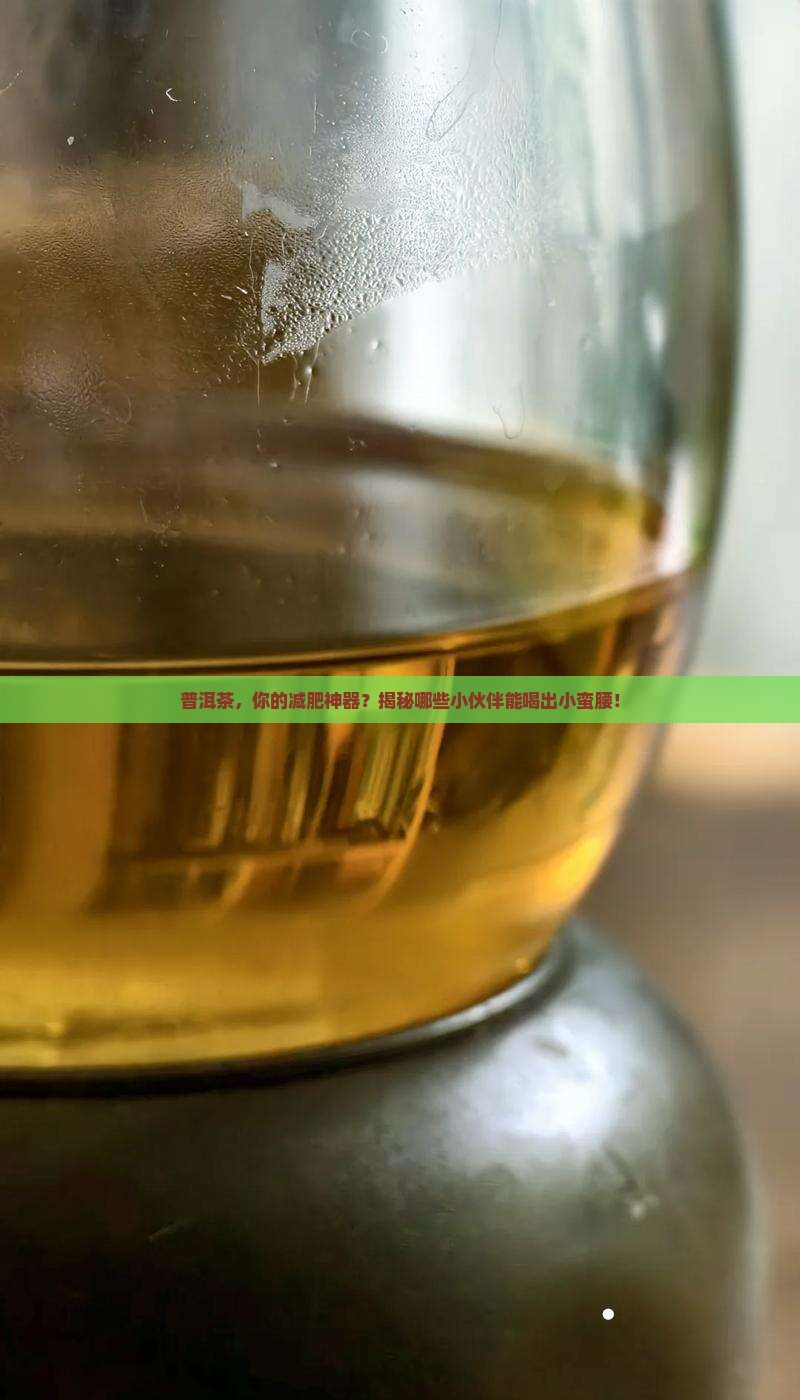 普洱茶的减肥功效适合人群