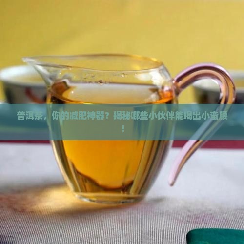 普洱茶的减肥功效适合人群
