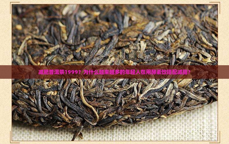 减肥普洱茶1999