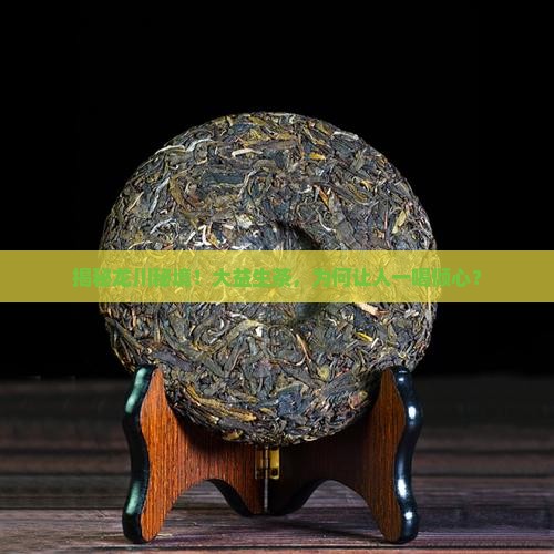 龙川大益普洱茶生茶