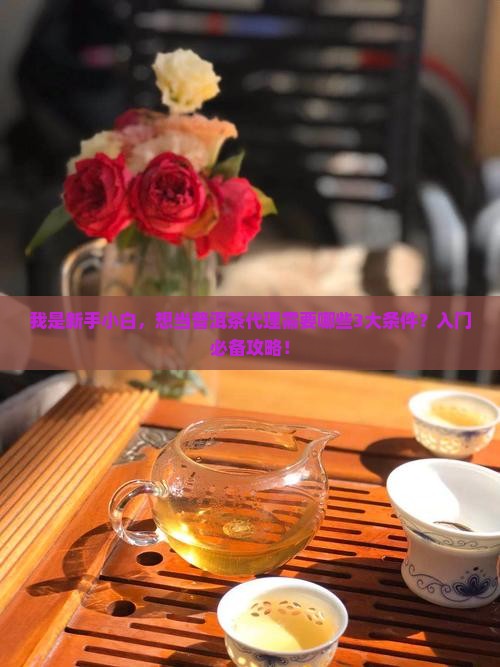 专业普洱茶代理条件