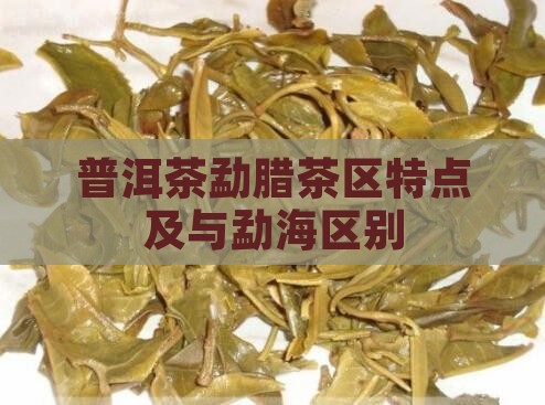普洱茶勐腊茶区