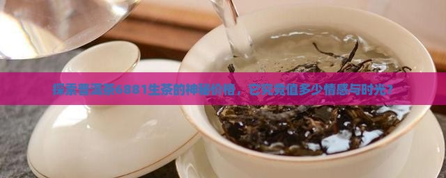 普洱茶6881生茶多少钱
