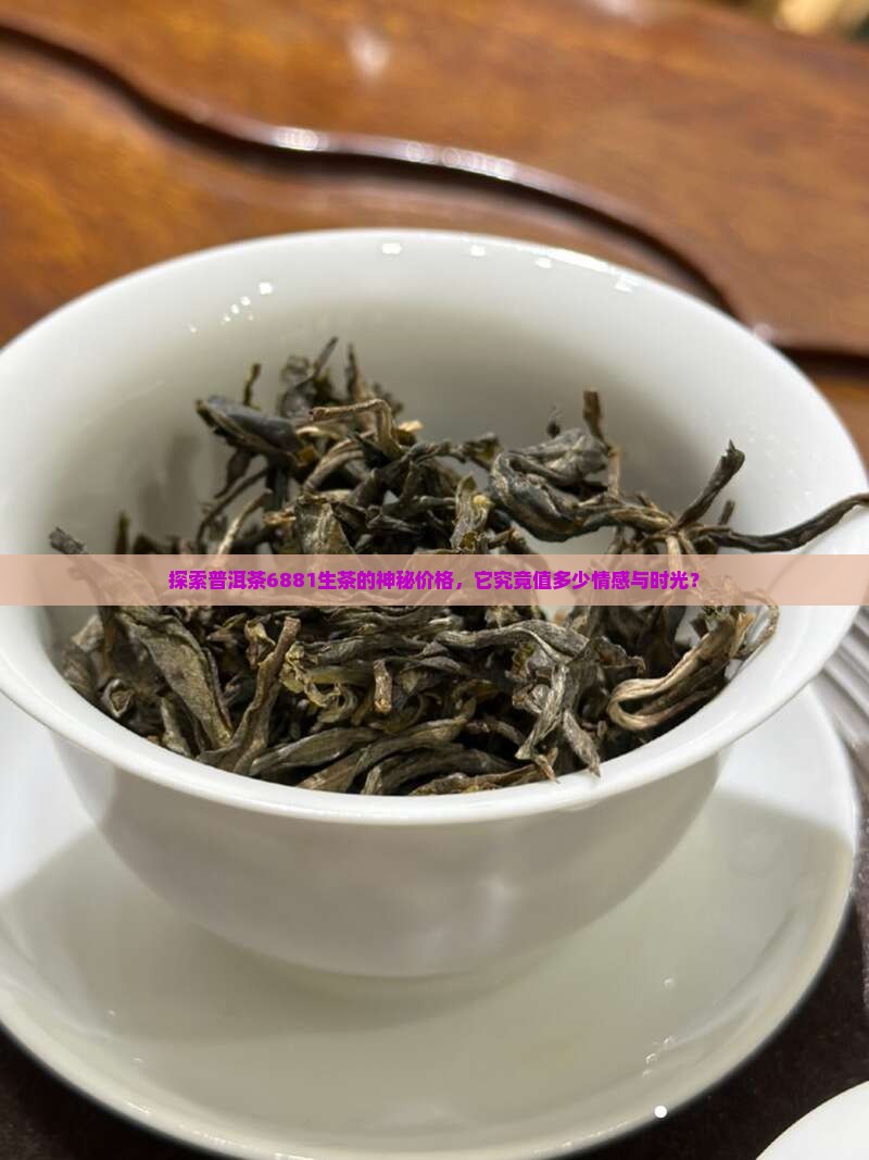 普洱茶6881生茶多少钱