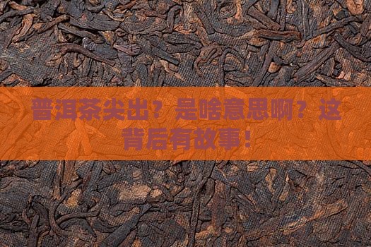 普洱茶尖出是什么意思