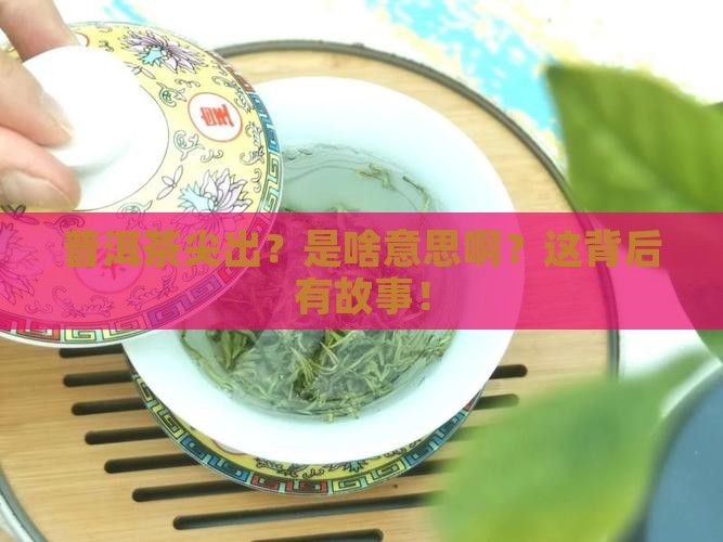 普洱茶尖出是什么意思