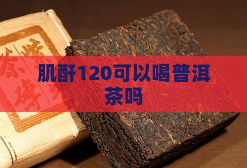 肌酐120能喝普洱茶吗
