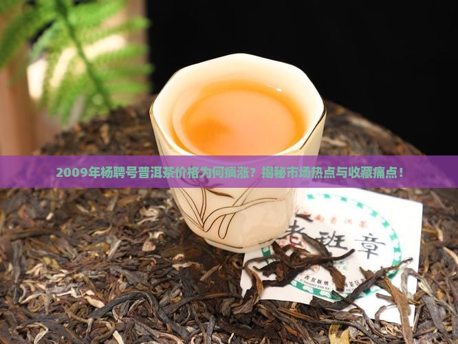 09年杨聘号普洱茶价格 09年杨聘号普洱茶价格