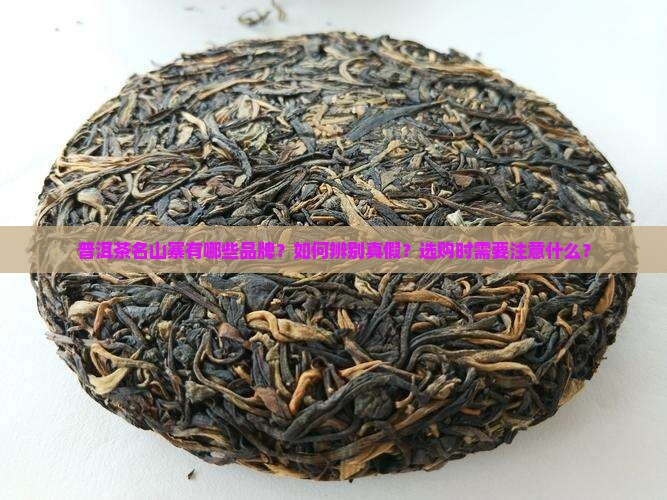 普洱茶名山寨有哪些品牌