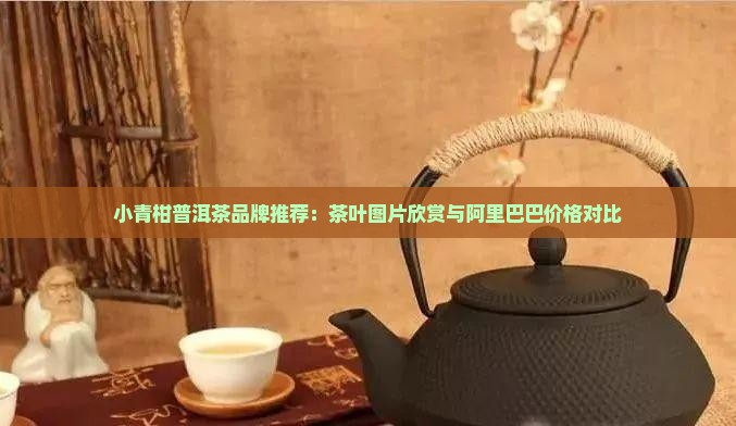 去寻茶叶小青柑普洱茶