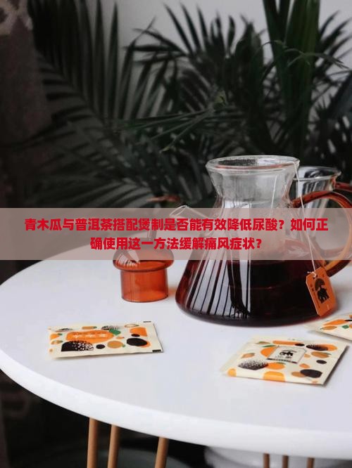 青木瓜煲普洱茶降酸尿
