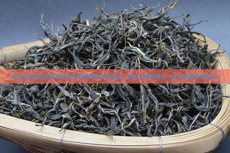 青木瓜煲普洱茶降酸尿