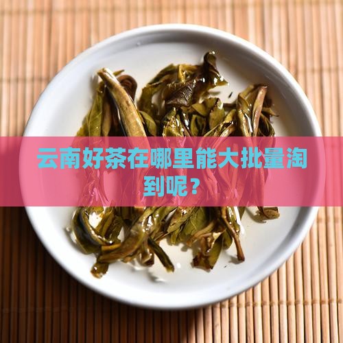 云南茶叶在哪批发
