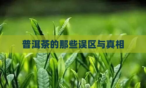 普洱茶的四大忽悠