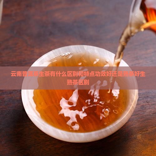 云南普洱茶生茶有什么区别