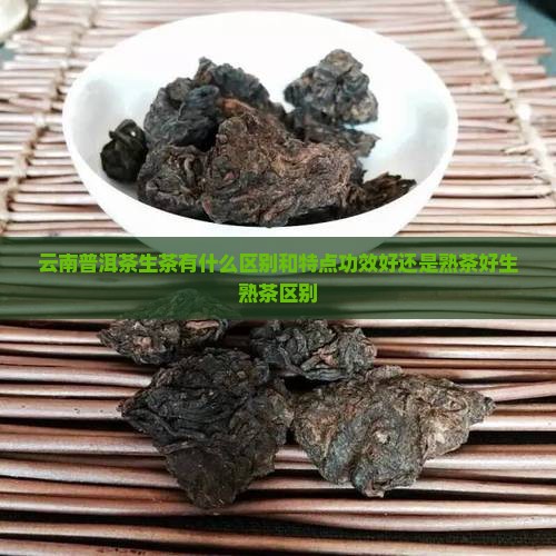 云南普洱茶生茶有什么区别