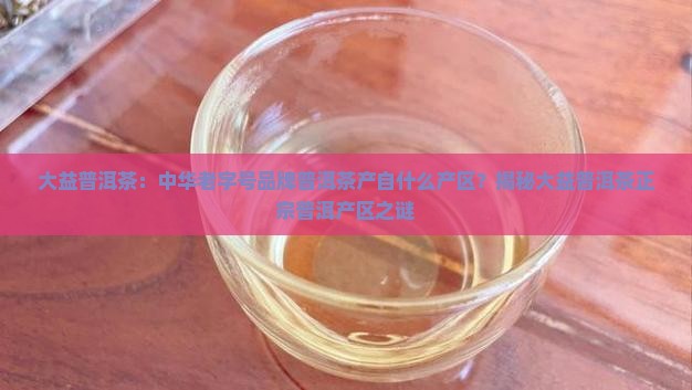 大益普洱茶是什么产区