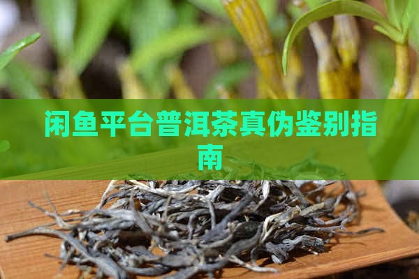闲鱼上的普洱茶是正品吗 闲鱼上的普洱茶是正品吗