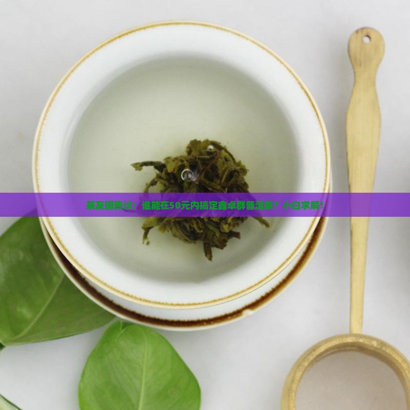 鑫卓群普洱茶价格