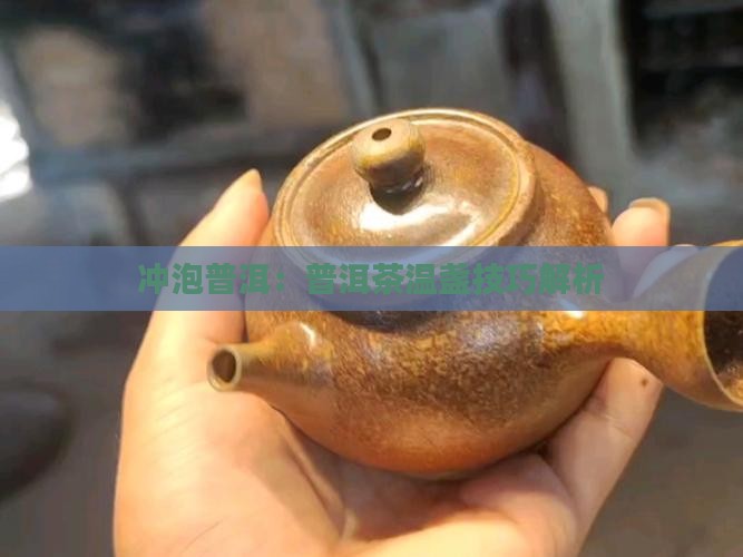 泡普洱茶需要温盏