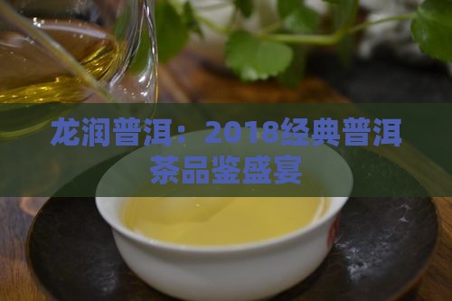 2018龙润普洱茶