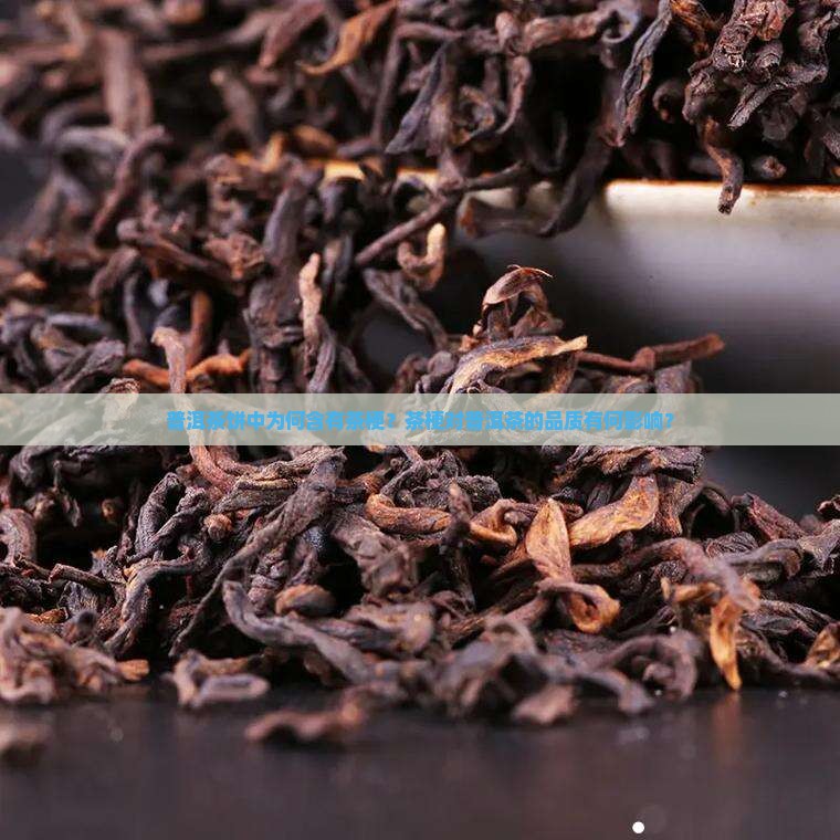 普洱茶饼里有茶梗