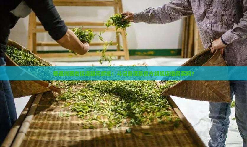 斗记普洱茶官方旗舰店