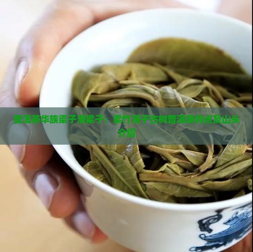 普洱茶华族梁子滑梁子