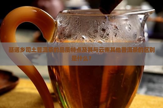 基诺乡司土普洱茶