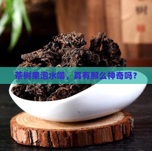 茶树果泡水喝的功效