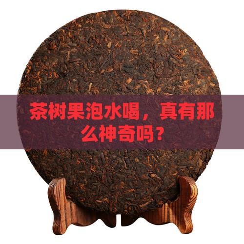 茶树果泡水喝的功效