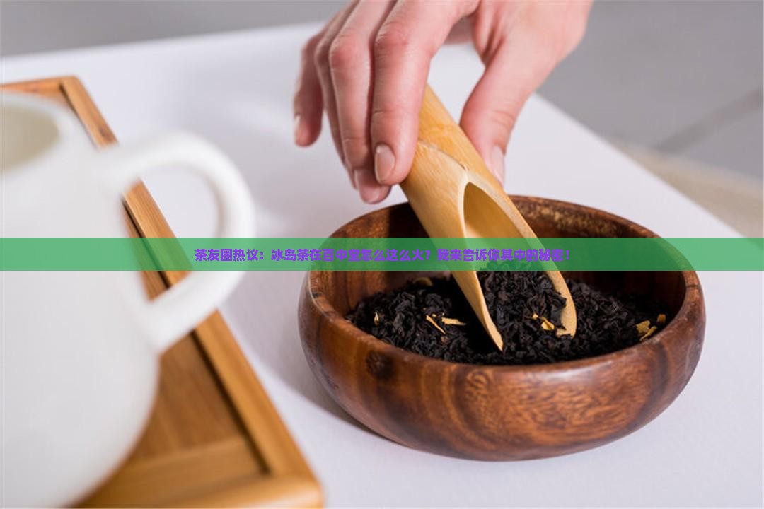 百中堂的冰岛茶
