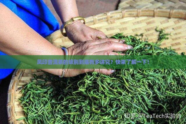 凤印普洱茶级别