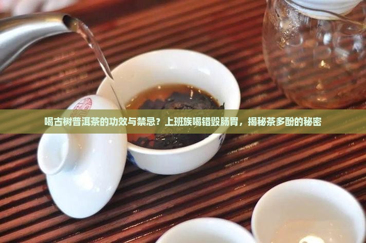 喝古树普洱茶的功效与禁忌