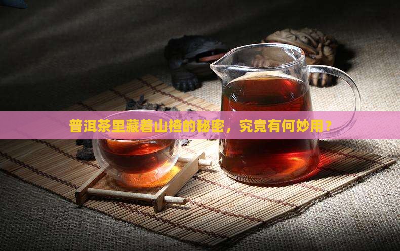 普洱茶里的山楂是什么 普洱茶里的山楂是什么