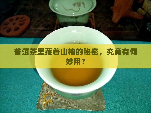 普洱茶里的山楂是什么 普洱茶里的山楂是什么
