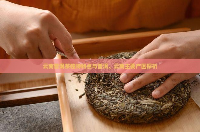 云南普洱茶的特点及主要产区
