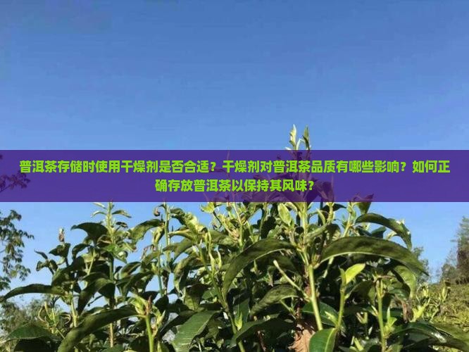普洱茶放干燥剂会怎么样