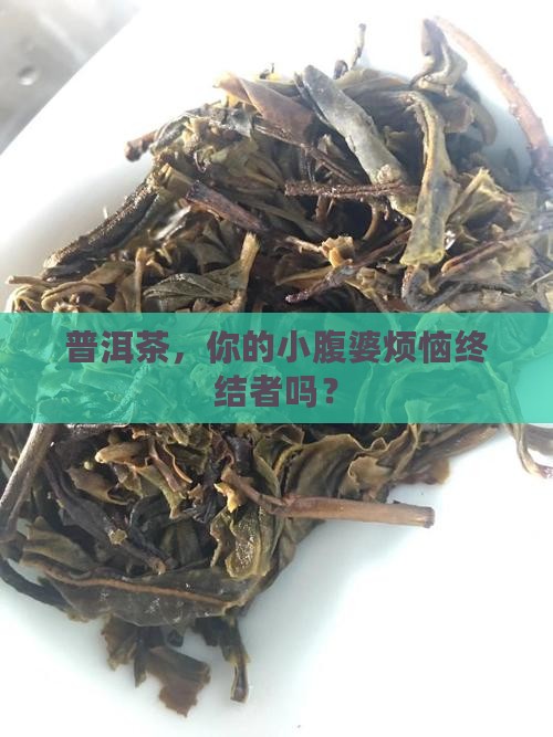 普洱茶腹部脂肪