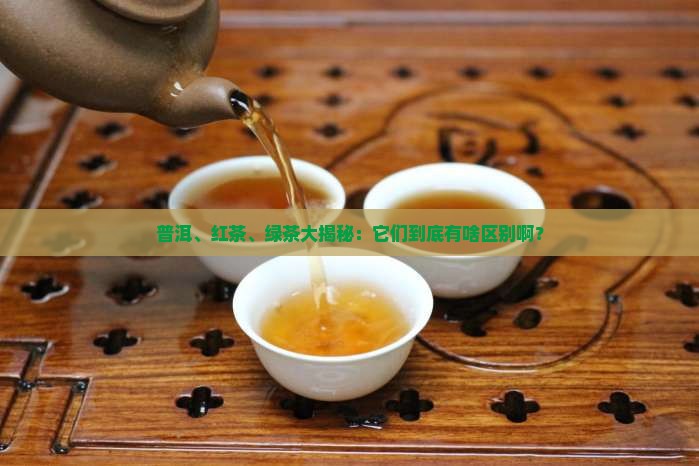 绿茶普洱茶红茶啥意思
