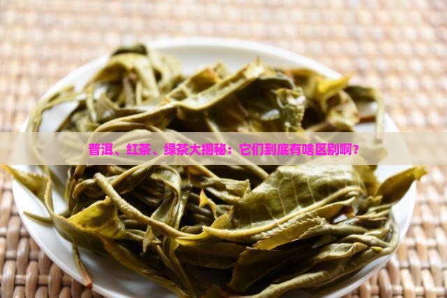 绿茶普洱茶红茶啥意思