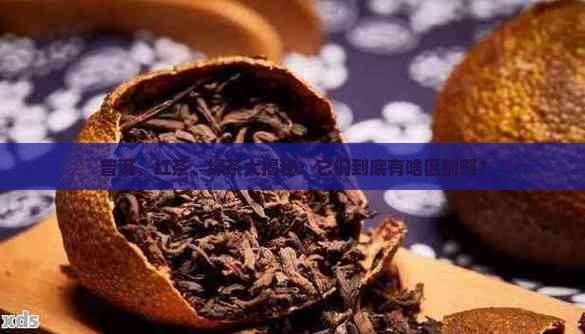 绿茶普洱茶红茶啥意思