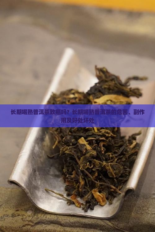 长期喝熟普洱茶致癌吗