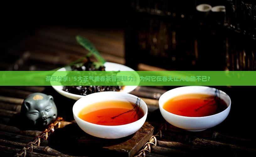 正气塘春茶普洱茶特点