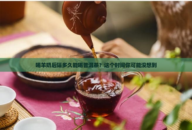 喝羊奶多久可以喝普洱茶水