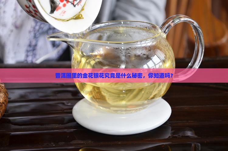 普洱茶有金花银花之说吗