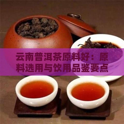 云南普洱茶原料好
